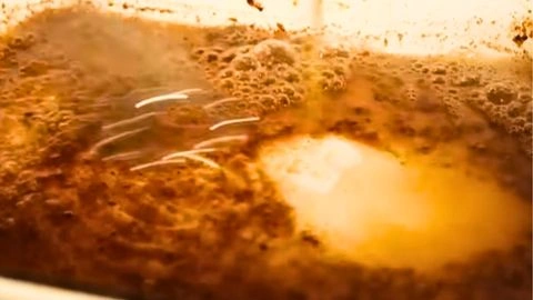 Add the Beef Broth & Balsamic