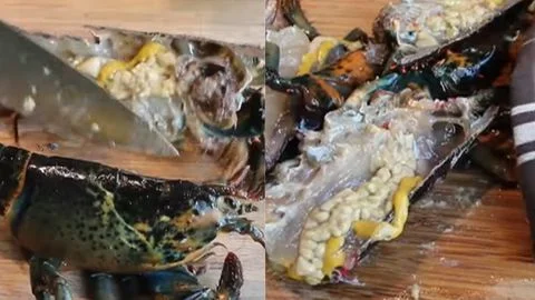 Humanely Dispatch and Prep the Lobsters then Clean and Portion the Lobster